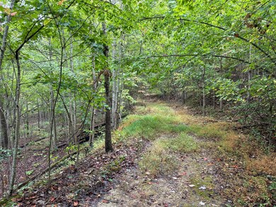 Trail