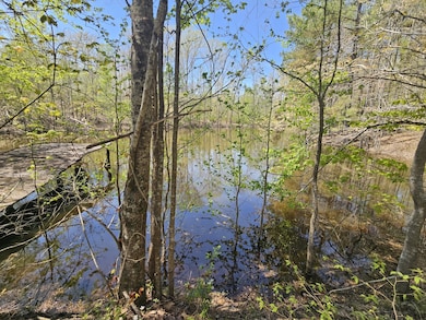 5005 Bunches Chapel Rd, Parsons, TN 38363 - photo 3