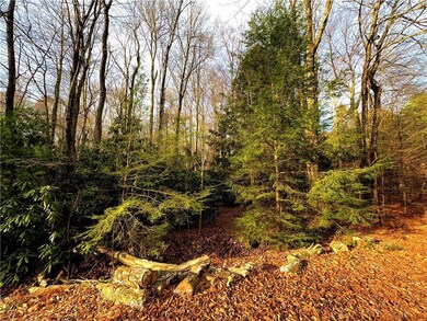 0 A70 State Route 534 & Lennox Ave unit 748292, Penn Forest Township, PA 18210 - photo 7