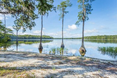 110 Wild Turkey Cir, Crawfordville, FL 32327 - photo 5