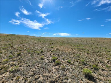 3712 Cimarron Dr unit 2, Hartsel, CO 80449 - photo 5