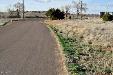 3.78 ac Papermill Rd unit & Foothills, Taylor, AZ 85939 - photo 3