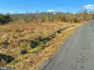 250 Lakeview Rd, Newport, PA 17074 - photo 6