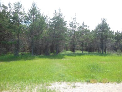 Private Back Yard