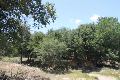 116 Marsh Salt Ct, Springtown, TX 76082 - photo 7