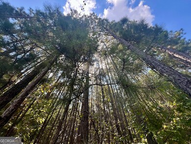 1150 Denton Rd, Douglasville, GA 30134 - photo 6