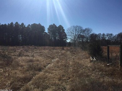 238 Middle Rd, Conway, AR 72032 - photo 4