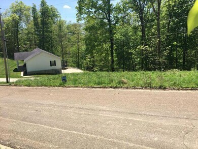 0 Walnut Dr unit Lot 24 221040550, Logan, OH 43138 - photo 2