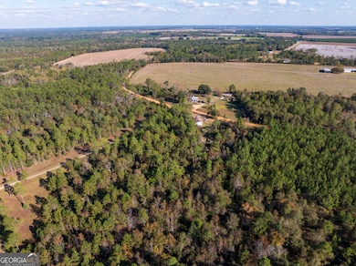 2.01 ACRES Clifford Rogers Rd, Lyons, GA 30436 - photo 5