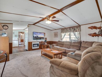 1109 Central Ave NE, Steinhatchee, FL 32359 - photo 5