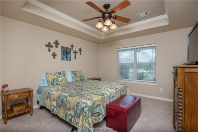 Large master bedroom with raised ceiling
