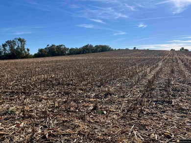 Parcel 6 Spring Saunders County Acreages County Rd, Yutan, NE 68073 - photo 6