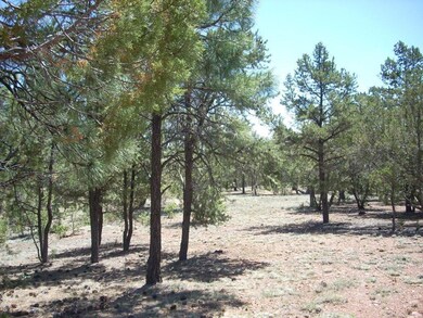 2877 Chandelle Lane (15)