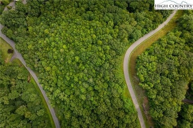 TBD Lot 122 Firethorn Trail, Blowing Rock, NC 28605 - photo 5