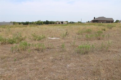 101 Kathy Stephens Ave, Springtown, TX 76082 - photo 6