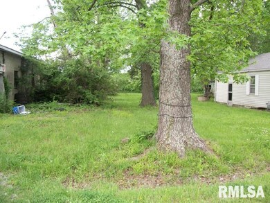 1805 Chestnut St, Harrisburg, IL 62946 - photo 3