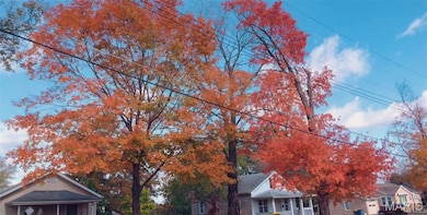 735 Virginia Mines Rd, Saint Clair, MO 63077 - photo 2