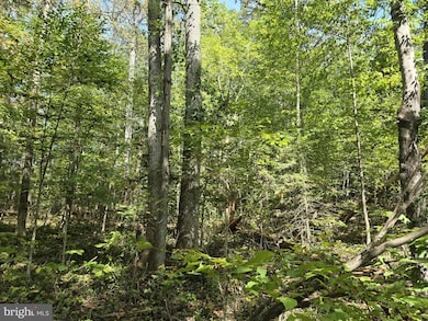 0 Poor House Rd unit VAMA2002480, Madison, VA 22727 - photo 5