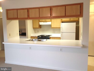 2812 Clear Shot #1 Dr unit 1-33, Silver Spring, MD 20906 - photo 4