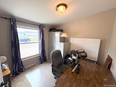 29 Granada Ct, Westcliffe, CO 81252 - photo 4