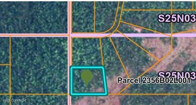 L1 B2 S Bald Mountain Asls 82-1, Talkeetna, AK 99676 - photo 2