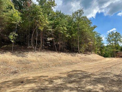 424- TRACT 4 Kentucky 577, Fogertown, KY 40962 - photo 4