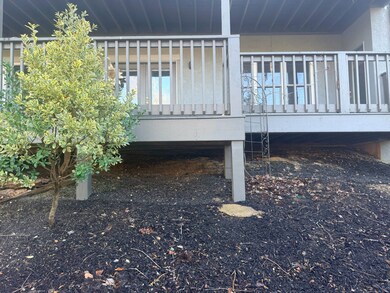 3 Rustic Ct, Landrum, SC 29356 - photo 4