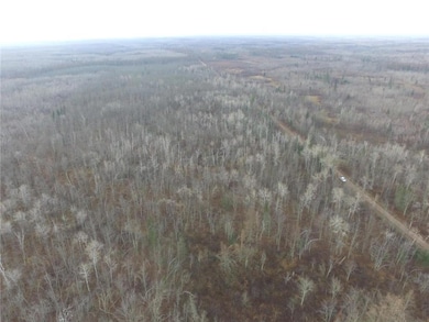 0 N Fire Lane Road Rd unit 6628433, Danbury, WI 54830 - photo 7