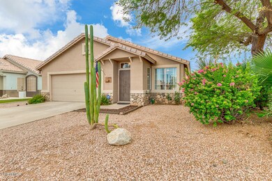 Low Maintenance Desert Landscaping