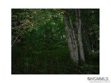 Diverse Plant Species