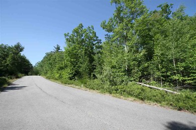 Lot 8 Lady Slipper Ln unit AKA Lot 12 per surve, Moultonborough, NH 03254 - photo 4