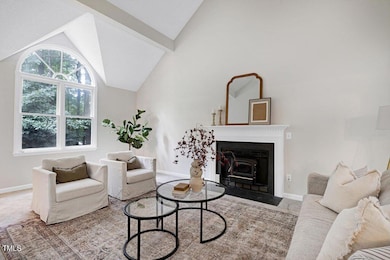 Charming fireplace insert.
