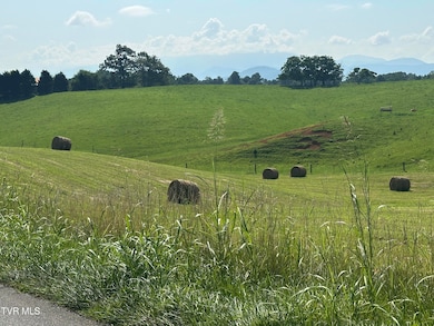 00 W Allens Bridge Rd, Greeneville, TN 37743 - photo 5