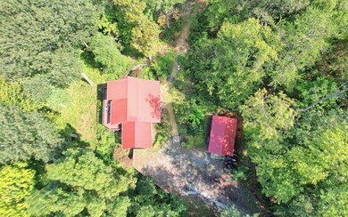 Additional View