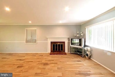 3318 Nevius St, Falls Church, VA 22041 - photo 5