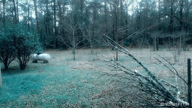 16 Ross Garner Rd, Mc Henry, MS 39561 - photo 2