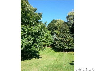 Backyard Where the deer and the squirrels love to 