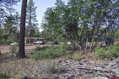 0 Calico Ct unit 696696, Durango, CO 81301 - photo 3