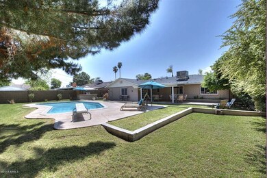 Backyard View