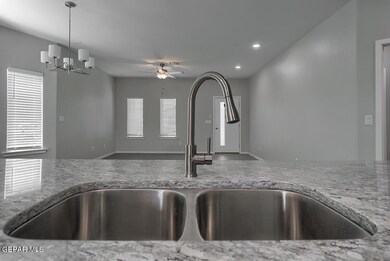 929-Desert-Verbena-Kitchen-Sink