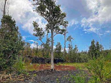 Existing Grading On Property