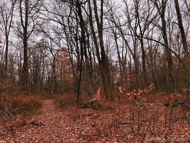 72D Walnut St, Seymour, CT 06483 - photo 5