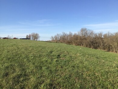 4325 Kentucky 596, Mayslick, KY 41055 - photo 2