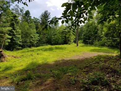 1123 Franklin Mills Rd, Warfordsburg, PA 17267 - photo 2