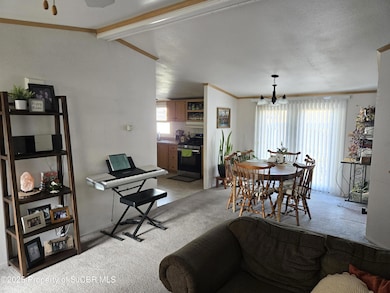 511 N Executive Dr, Bloomfield, NM 87413 - photo 6