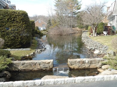 Pond