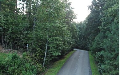 0 Clear Creek Valley Dr unit 308506, Ellijay, GA 30536 - photo 2