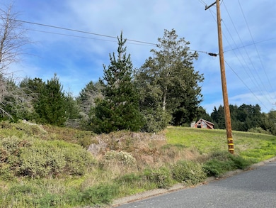 35 Debbie Ln, Whitethorn, CA 95589 - photo 2