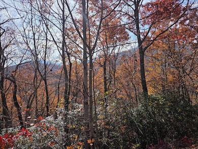 Lot 134 Diamond Falls Estates, Franklin, NC 28734 - photo 7