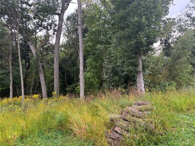 3055 Forrest Hill Ct, Hiawatha, IA 52233 - photo 4